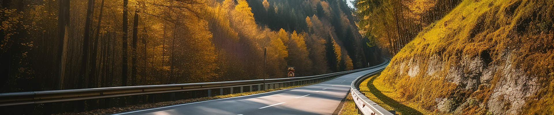 straight-single-road-middle-colored-forest